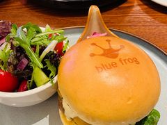 -bluefrog蓝蛙(新三里屯太古里店)