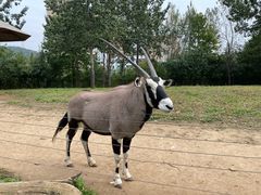 -大连森林动物园