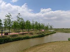 -春花秋色城市公园