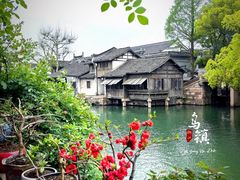 -乌镇景区