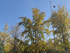 -虾小龙老长沙龙虾馆(坡子街店)