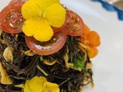 雪菜地衣-天禧(西溪店)