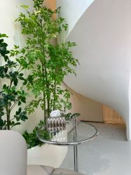 -OAE日式皮肤管理お肌の