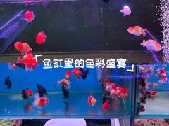 -香炉礁家具市场