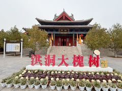 -大槐树寻根祭祖园