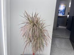 -D.G造型·烫发染发接发