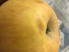 -千鲜汇(天荣路店)