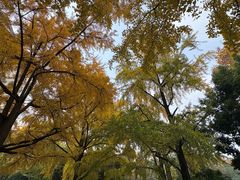 -四川大学(华西校区)