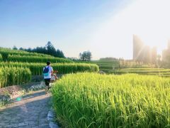 -迪茵湖田家舍生态农场