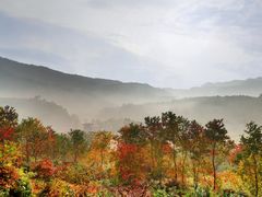 -塔川景区