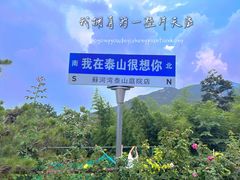 -蘇河湾·新鲁菜·泰山宴(泰山店)