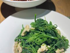清炒地瓜叶-百年认一力·清真牛羊肉(南中环店)