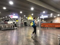 -谢列梅捷沃国际机场