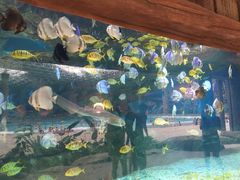 -波塞冬旅游度假区