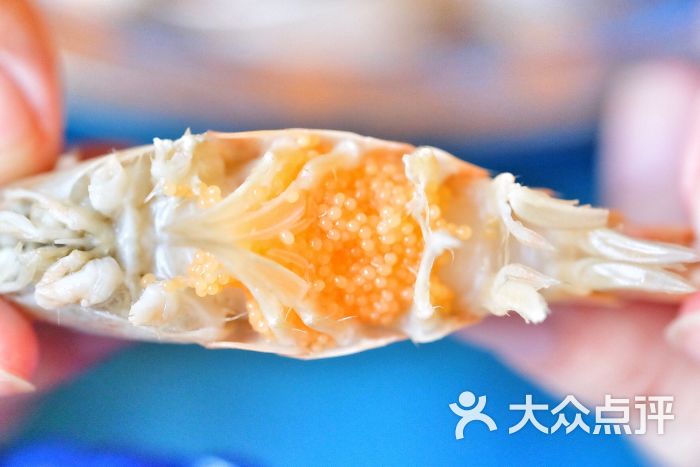 米藜亚家俄罗斯艺术餐厅俄罗斯虎头虾图片 - 第20张