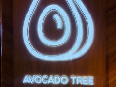 -油梨树AVOCADO TREE(嘉里中心店)