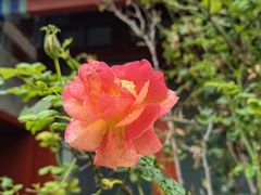 -齐白石旧居纪念馆