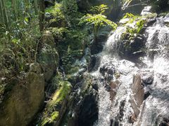 -藏龙百瀑风景区