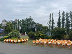 -上海长兴岛郊野公园