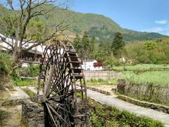 景点-塔川景区