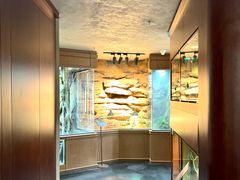 -帕帕拉兹宠物(亚洲旗舰店)