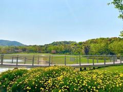 -苏州清山会议中心