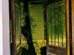 -院子餐厅·大锅菜·老杭帮(桥西直街店)