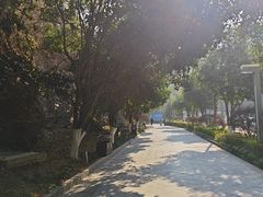 -云碧峰国家森林公园