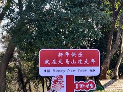 -上海佘山国家森林公园天马山园