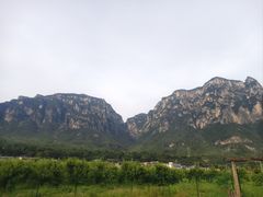 -武家湾景区