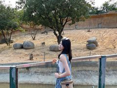 -泉州海丝野生动物世界