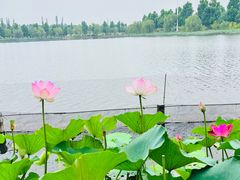 -云幽谷旅游区