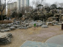 -莲花池公园