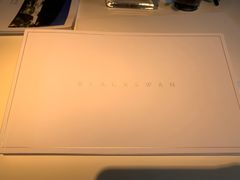 -BLACKSWAN黑天鹅(环球店)