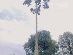 -中国科学院华南植物园