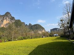 -明仕田园