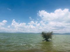 -捞渔河湿地公园