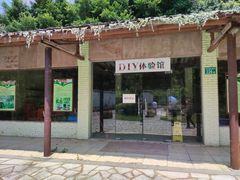 -广州市流溪河国家森林公园