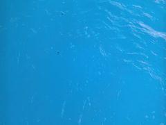 -杭州浪浪浪水公园