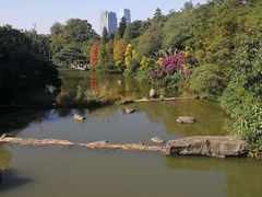 -云溪植物园