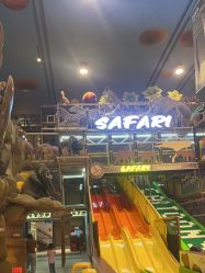 -卡通尼·Safari非洲探索乐园·生日会(金桥国际商业广场店)