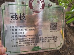 -清溪大王山森林公园