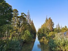 -上海长兴岛郊野公园