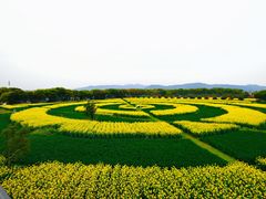 -苏州太湖西山岛开心农场