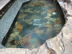 -嘉悦汗蒸时代(曙光路店)