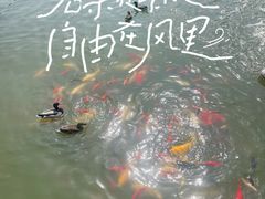 -中国农业博物馆