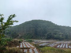 -西双版纳基诺山寨