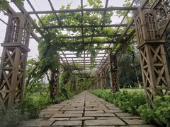 -北京张裕爱斐堡酒庄