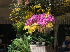 -春暖花开(西溪店)
