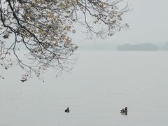 -西湖天地